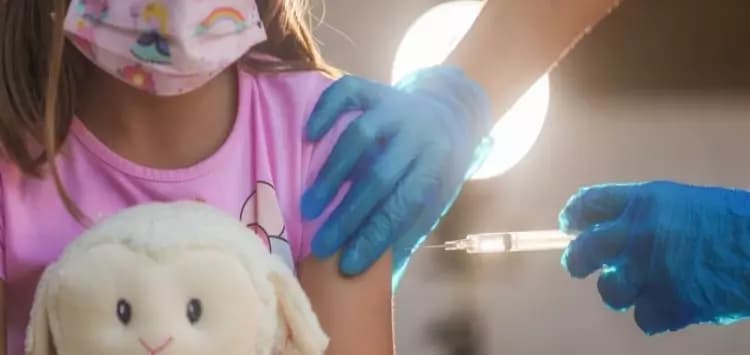 Saúde deixa vacinas vencerem e incinera 10,9 milhões de doses em 2024