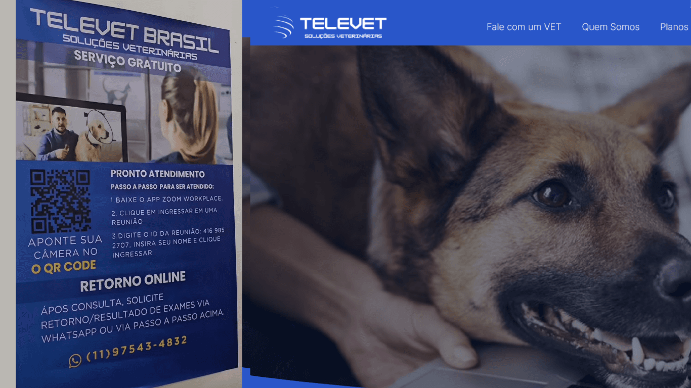 Hospital Veterinário Municipal de Natal oferece consultas on-line para cães e gatos